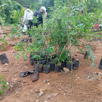 WhatsApp Image 2025-05-31 at 10.05.07 AM